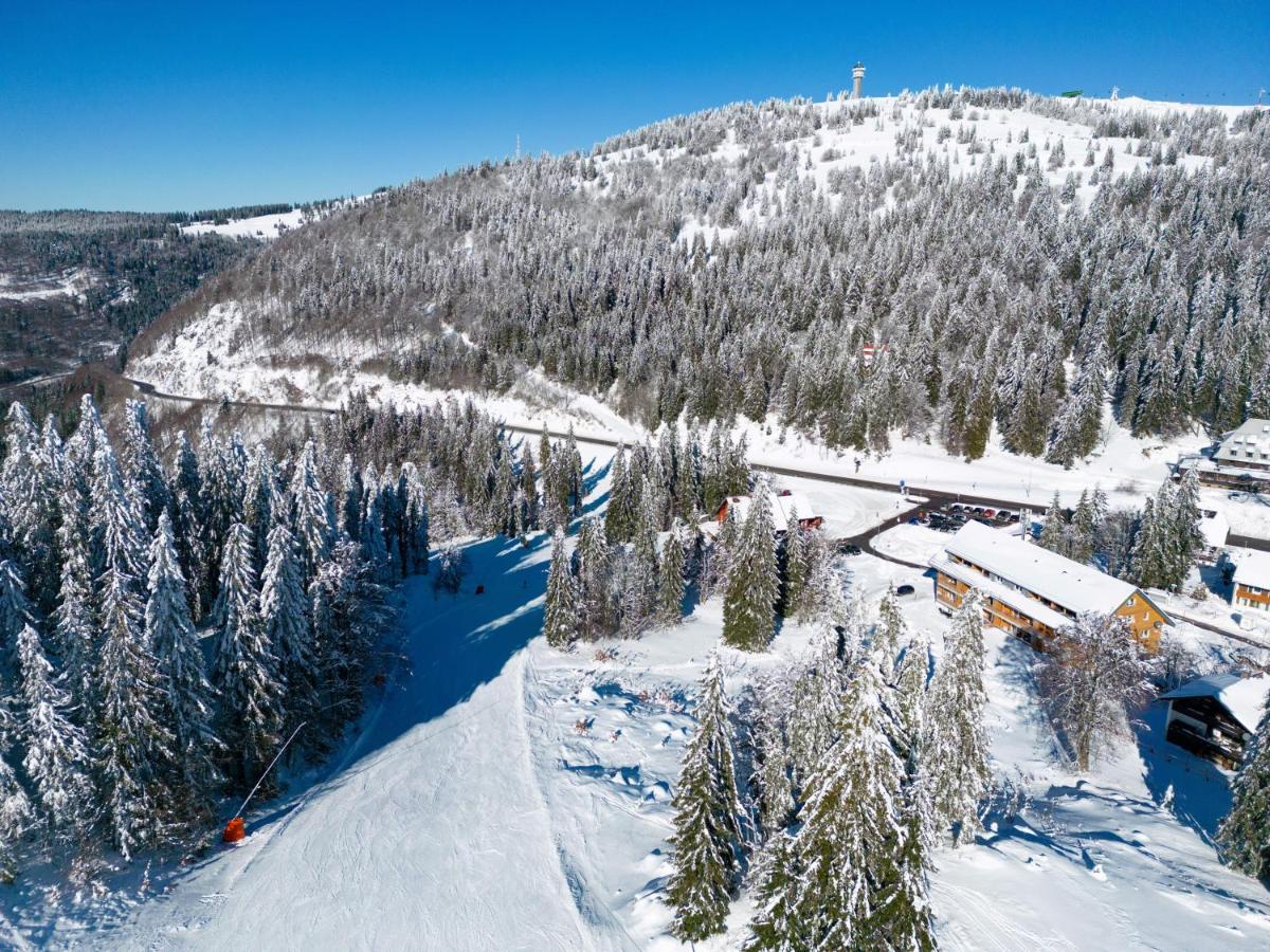 Wiesenquell Apartment Feldberg Feldberg  Eksteriør billede